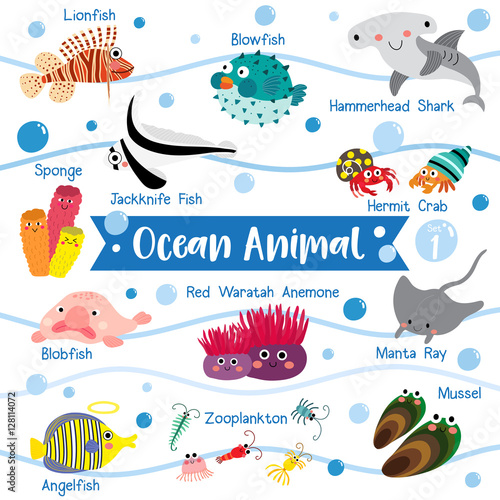 Ocean Animal cartoon on white background with animal name.  Blowfish. Hammerhead Shark. Hermit Crab. Sponge. Lionfish.  Blobfish. Angelfish. Manta Ray. Mussel. Zooplankton. Vector illustration. Set 1.