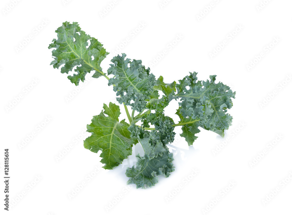 Fototapeta premium fresh Green Kale on white background