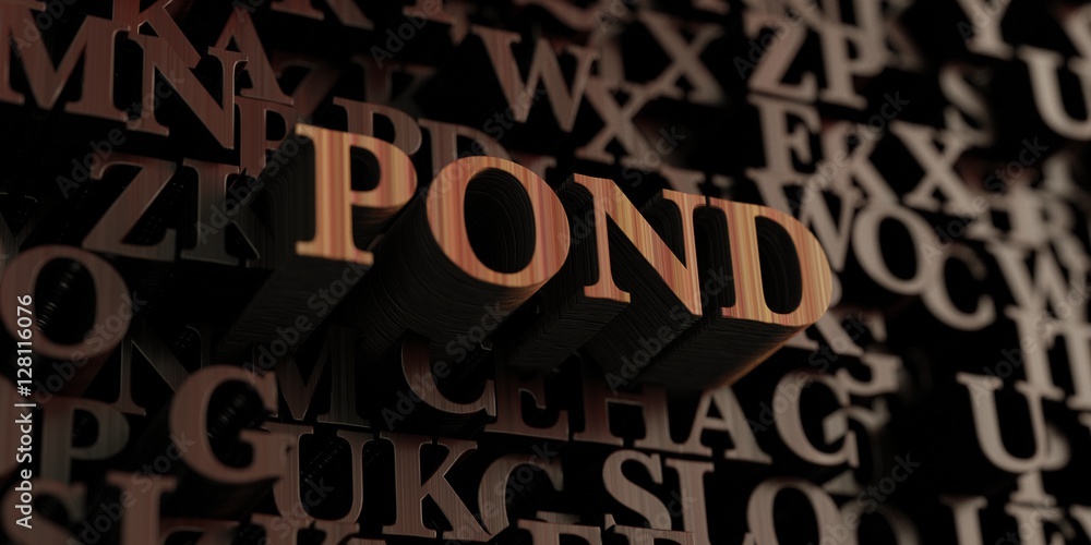 Pond - Wooden 3D rendered letters/message.  Can be used for an online banner ad or a print postcard.