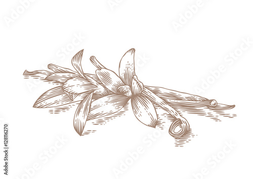 Vanilla sticks and flowers