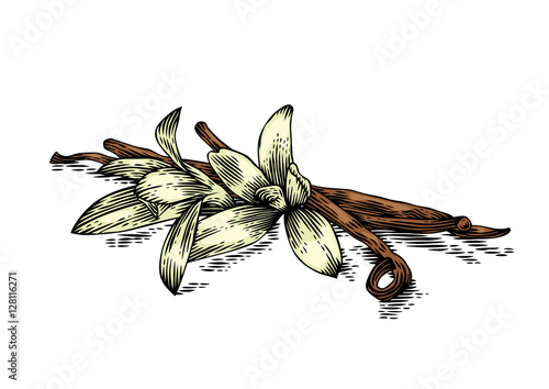 Vanilla sticks and flowers