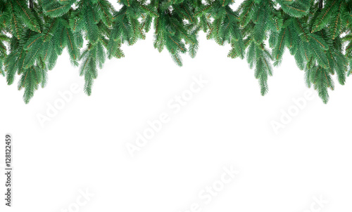 fir tree isolated on white