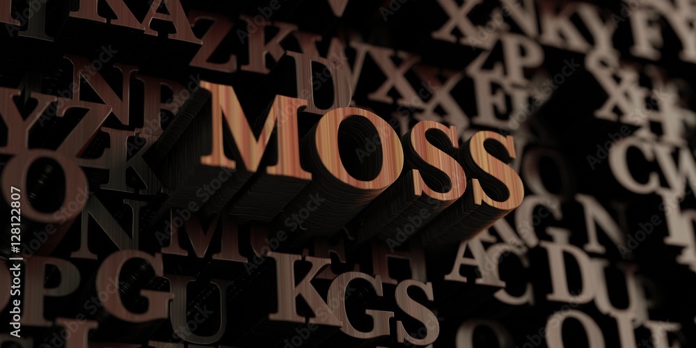 Moss - Wooden 3D rendered letters/message.  Can be used for an online banner ad or a print postcard.