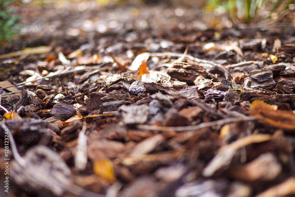 Wood chips. Wood chips.