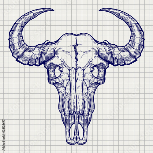 Ball pen buffalo skull sketch vector on notebook page