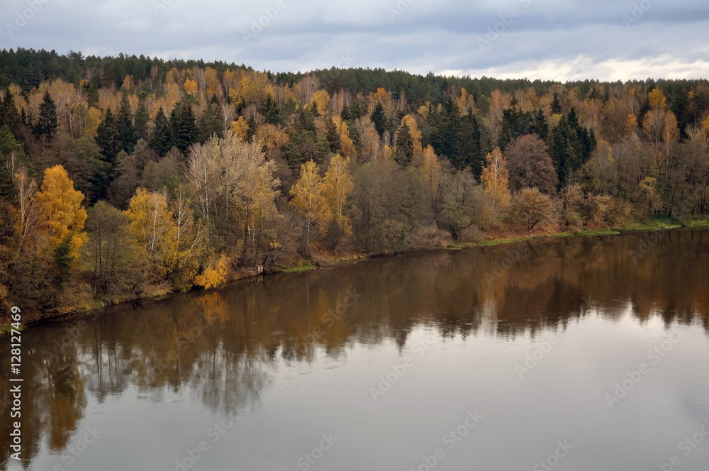 Aerial view of autumn forest and a river in cloudy weather.