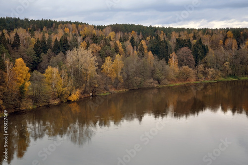 Fototapeta Naklejka Na Ścianę i Meble -  Aerial view of autumn forest and a river in cloudy weather.
