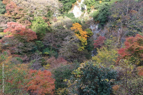 Late Autumn : Mino Osaka Japan