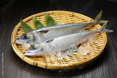 鯖　Mackerel photo