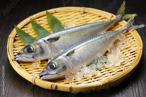 Obraz na płótnie 鯖　Mackerel