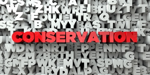 CONSERVATION - Red text on typography background - 3D rendered royalty free stock image. This image can be used for an online website banner ad or a print postcard.