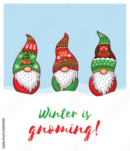 Winter is Gnoming. Card with Christmas gnomes in red hat
