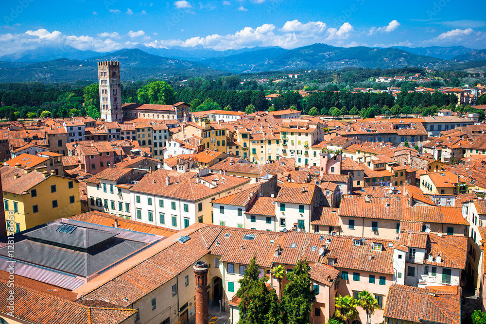 Aerial view of ancient building with red roofs in Lucca, Italy