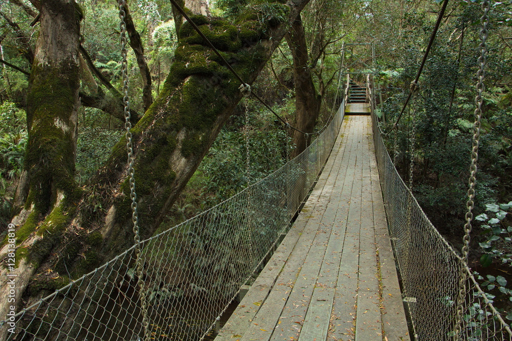 Obraz premium Most wiszący w rezerwacie widokowym rzeki Bemm