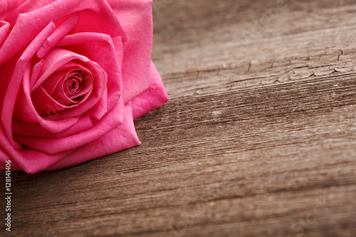 rose head on the wooden background