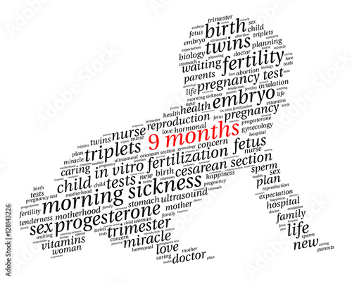 9 months. Word cloud, baby silhouette, italic font, white background. The miracle of birth.