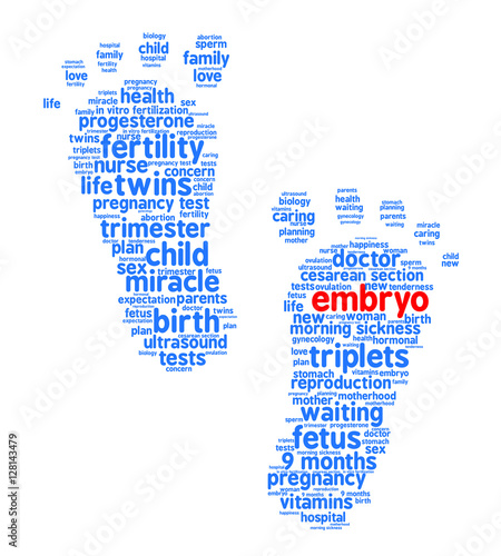 Embryo. Word cloud, trace feet, white background. The miracle of birth.