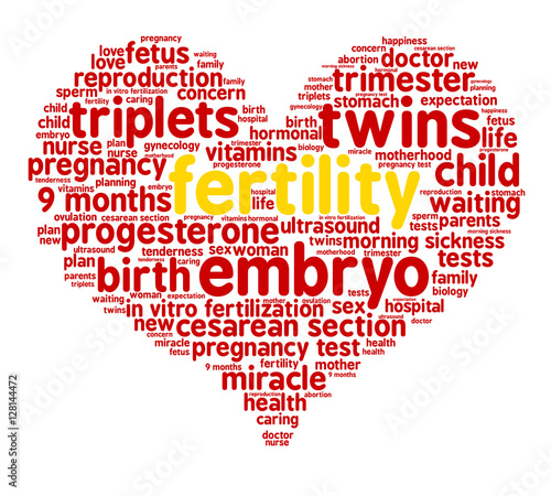 Fertility. Word cloud, red heart, white background. The miracle of birth.