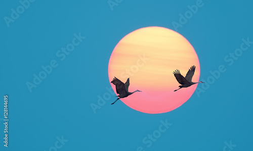 Sun and birds over heavenly blue sky