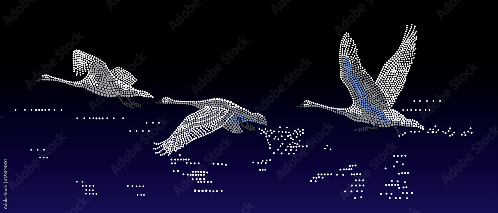 Naklejka premium Łabędzie nad wodą