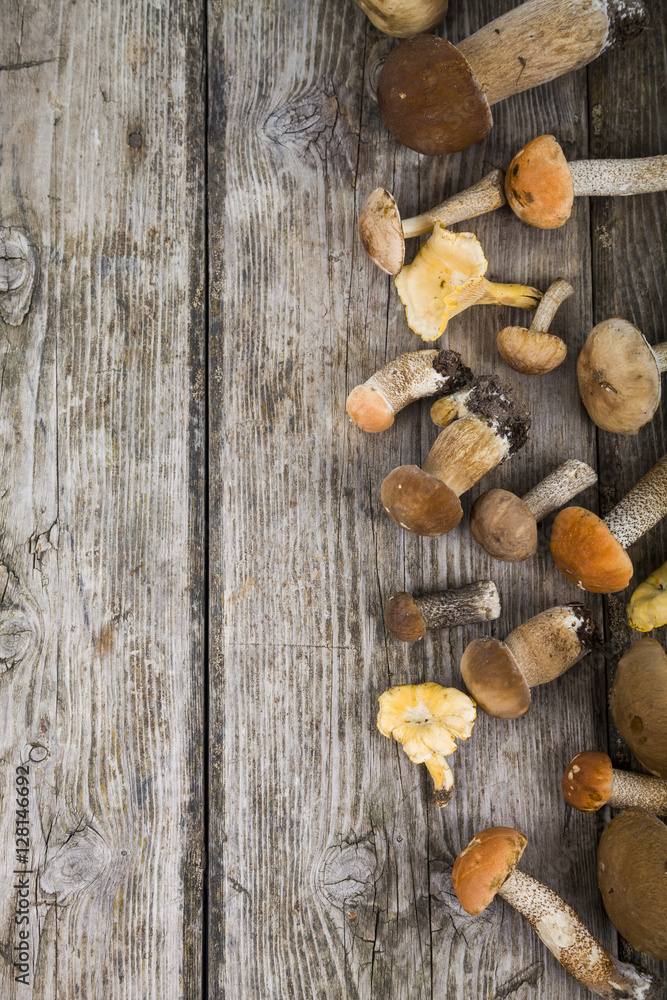 Raw mushrooms on a wooden table. Boletus edulis and chanterelles Raw mushrooms on a wooden table. Boletus edulis and chanterelles