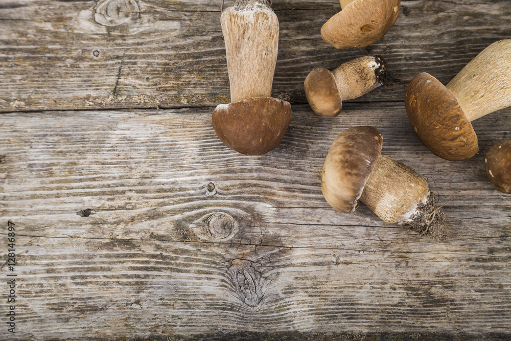 Raw mushrooms on a wooden table. Boletus edulis and chanterelles Raw mushrooms on a wooden table. Boletus edulis and chanterelles
