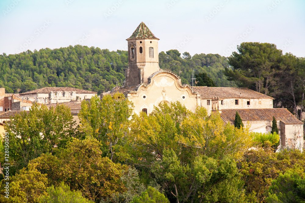 Vue panoramique du Monastère royal de Santes Creus, Catalogne, Espagne	
