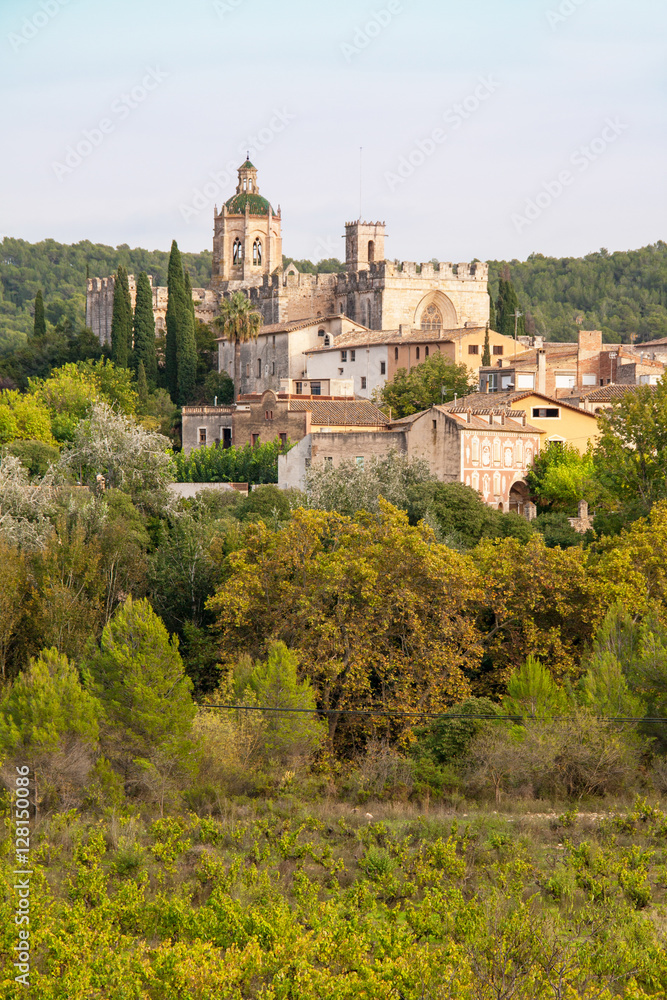 Vue panoramique du Monastère royal de Santes Creus, Catalogne, Espagne	