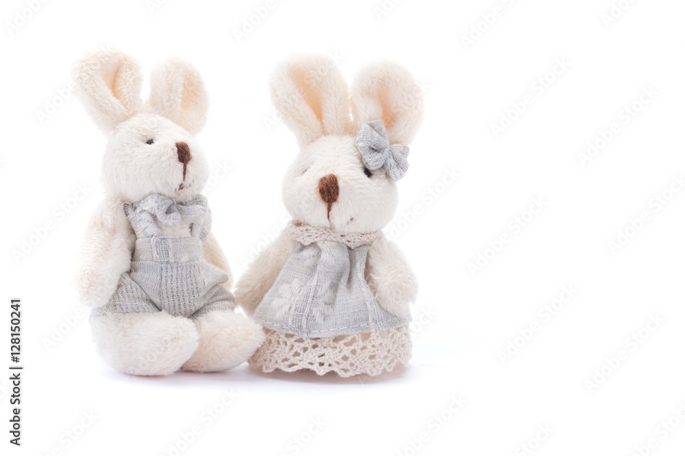 couple of easter bunny rabbit on white background. couple of easter bunny rabbit on white background.