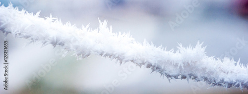 Frost on rope.