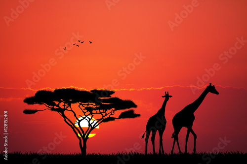 giraffe at sunset