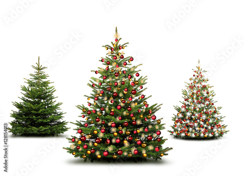 Weihnachtliche Tannenbäume