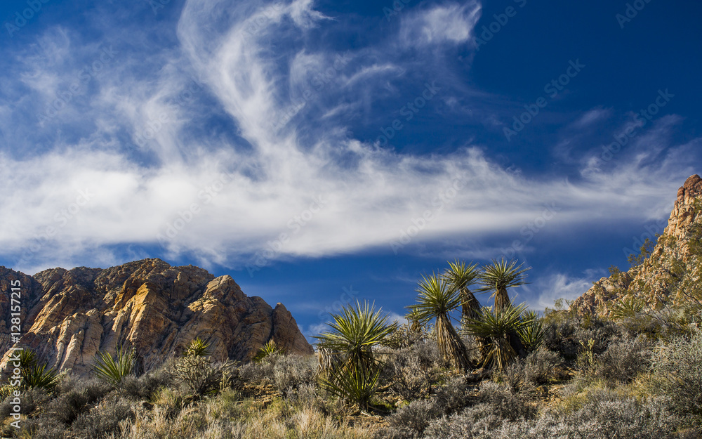 Desert Landscape Desert Landscape