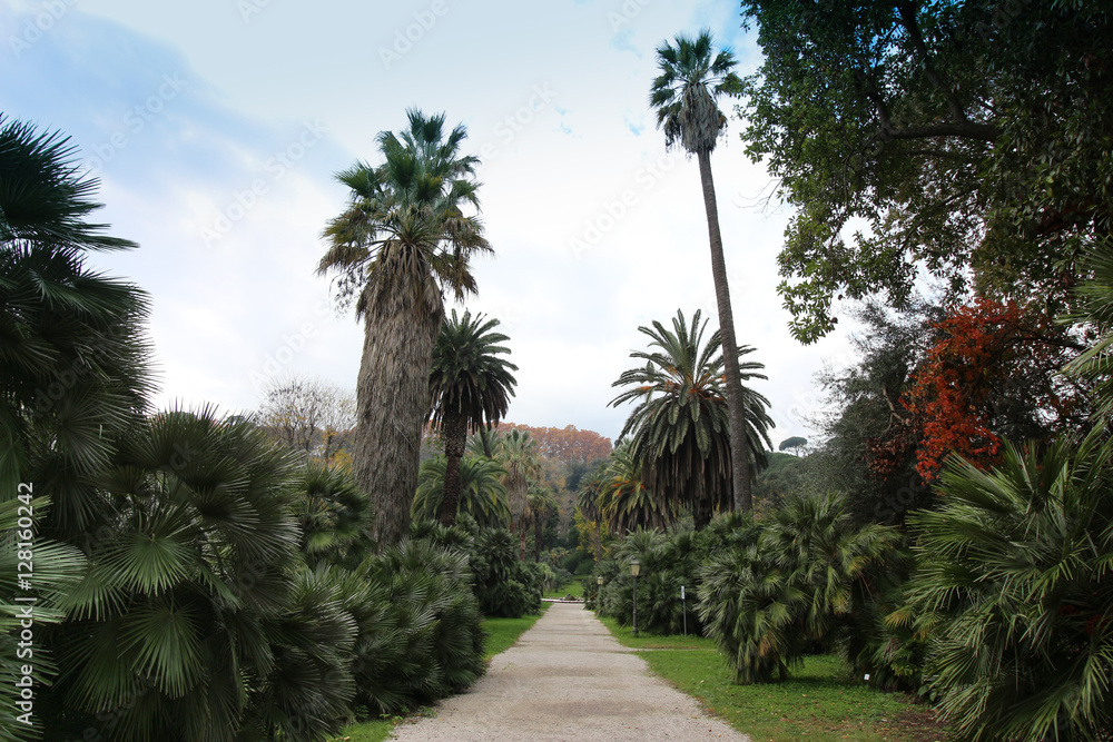 Botanic Garden park in Rome, Italy