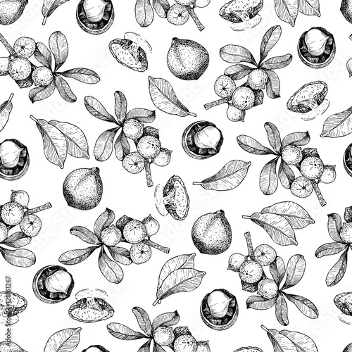Vector seamless pattern of macadamia nuts and branch. Hand drawn engraved art. Healthy beauty hair nutrition.