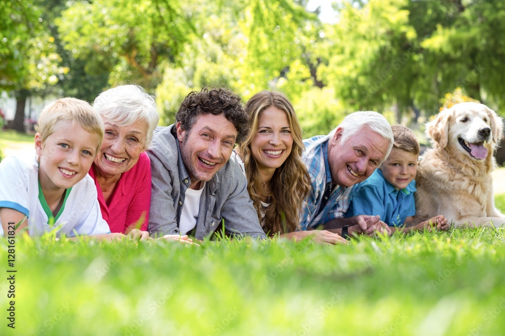 Family with dog lying on the grass in the park