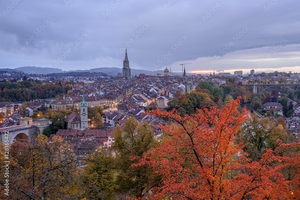 Berner Münster