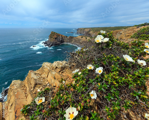 Summer Atlantic ocean rocky coastline (Algarve, Portugal).