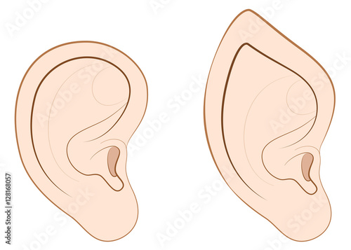 Human ear and pointed ear of an elf, fairy, vampire or other fantasy creature.