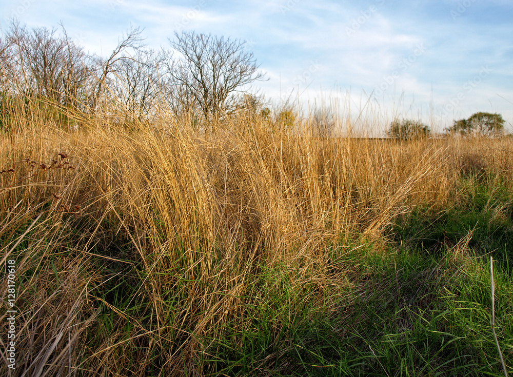 Autumn scenery with stubble-field. long exposure Autumn scenery with stubble-field. long exposure