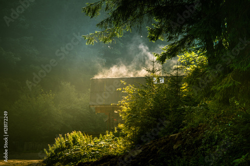 Evaporating moisture from a house roof in Romanian forests © dachux21
