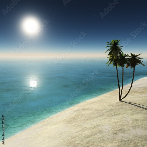 Fototapeta Naklejka Na Ścianę i Meble -  Sunset on a tropical beach. Palm trees and sea. 
