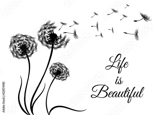 black vector sticker - print with flying dandelion seeds