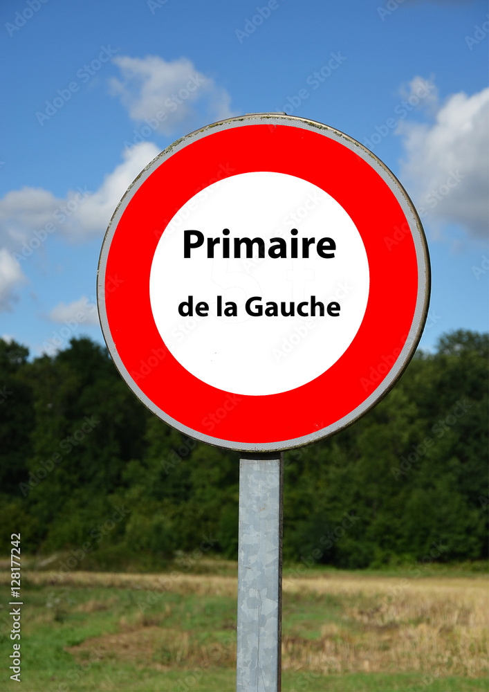 Elections 2017 en France - Primaires de la Gauche