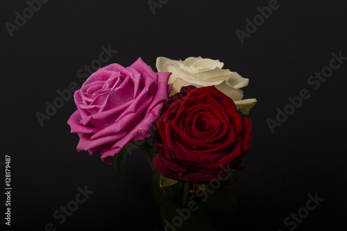 pink red white roses