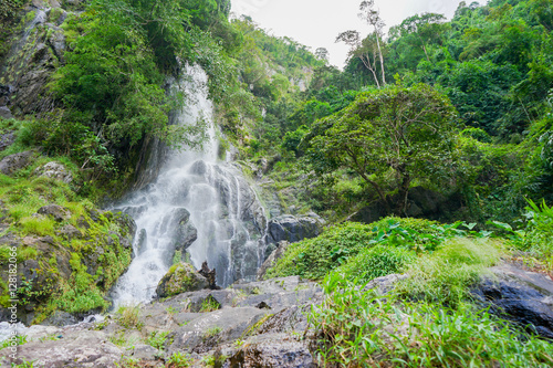 Fototapeta Naklejka Na Ścianę i Meble -  waterfall in the forest in thailand