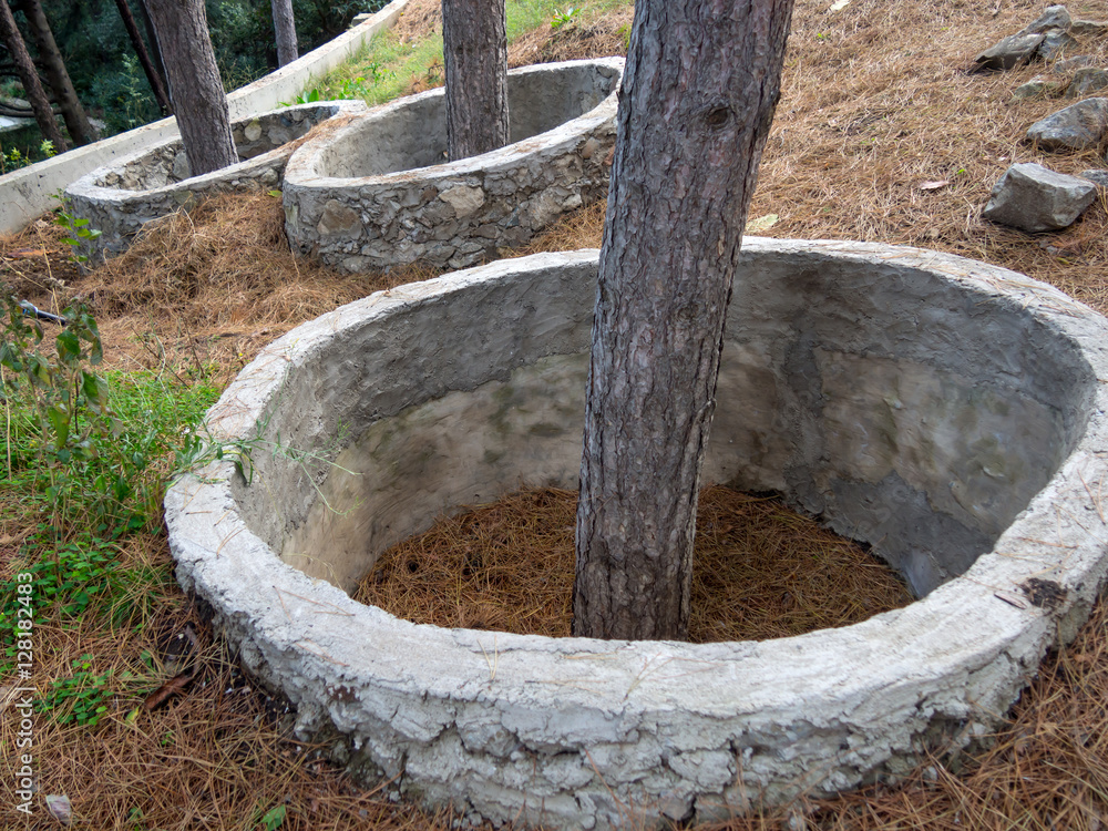 Protective rings of concrete around the trees