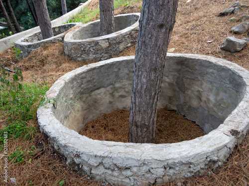 Protective rings of concrete around the trees
