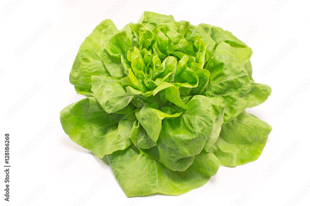 Fresh lettuce isolated on white background Fresh lettuce isolated on white background