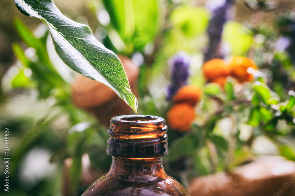 Variety of herbs and a bottle Variety of herbs and a bottle